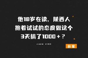 他18岁在读，陕西人，抱着试试的态度做这个，3天搞了1000＋？-辰星笔记