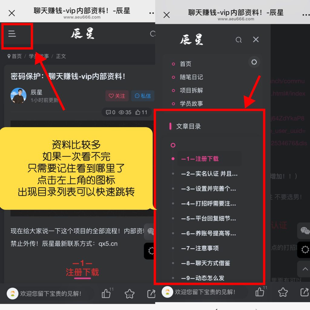 图片[2]-聊天赚钱-完整流程！-辰星笔记
