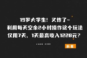 19岁大学生！利用每天空余2小时操作这个玩法，仅用7天，1天最高收入1228元？-辰星笔记