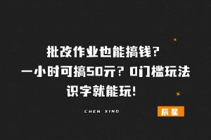 批改作业也能搞钱？一小时可搞50亓？0门槛玩法，识字就能玩！-辰星笔记