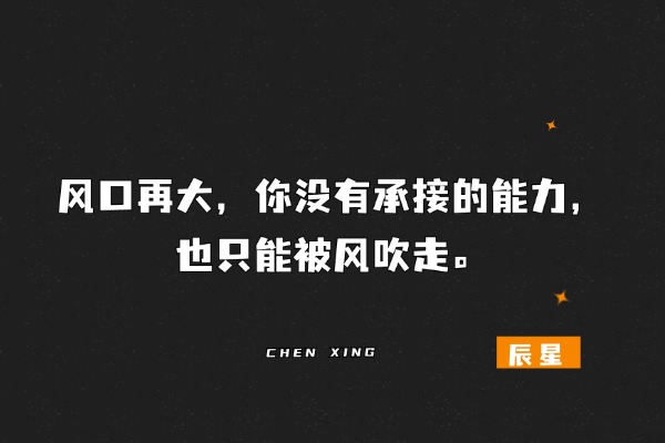 图片[2]-辰星随笔【31】我想劝你：别再追着项目跑，要让能力喂饱你​-辰星笔记