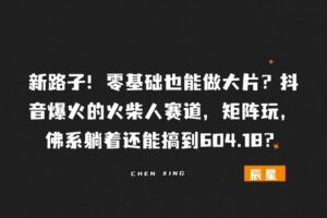 新路子！零基础也能做大片？抖音爆火的火柴人赛道，矩阵玩，佛系躺着还能搞到604.18？-辰星笔记