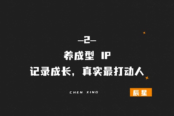 图片[3]-辰星随笔【35】：打工是不可能的，普通人做 IP 赚钱的三种路-辰星笔记